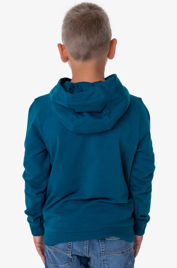 Children's tommy hilfiger online hoodie