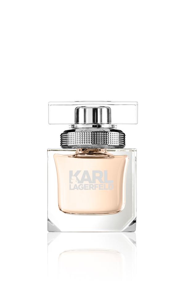 Karl lagerfeld edp deals